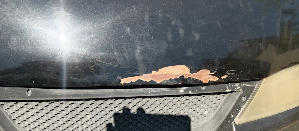 Nexa 2 sotiladi holati oʻrtacha
