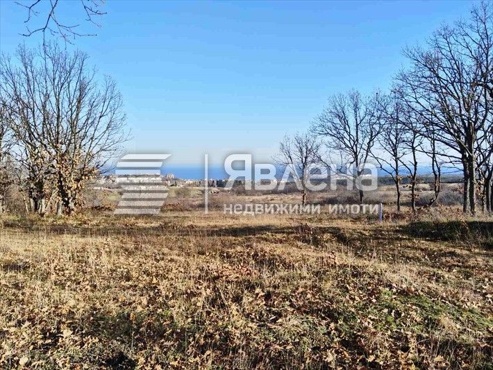 Продава се Парцел в Царево - 5600 кв.м за 50 €/кв.м - Снимка #7