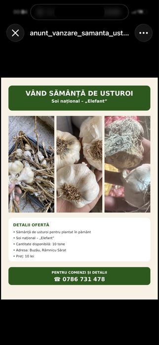 Vand usturoi national