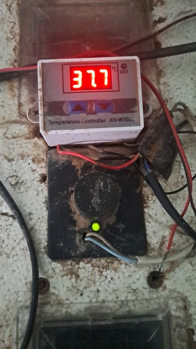 Продам инкубатор