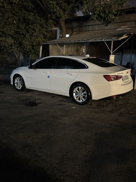 Малибу 2 пример холати зор