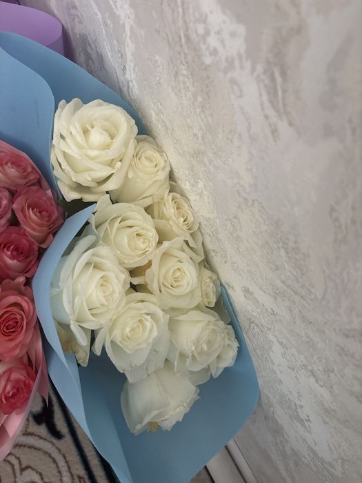 цветы свежый арзан багада сатылады