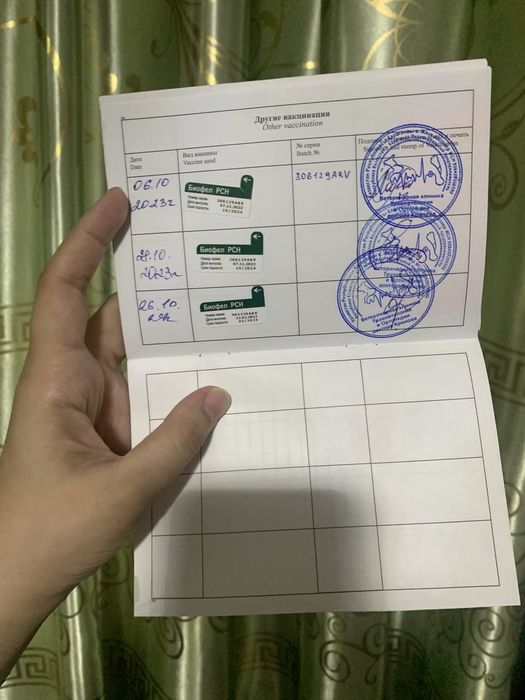 Отдаю кота в добрые руки