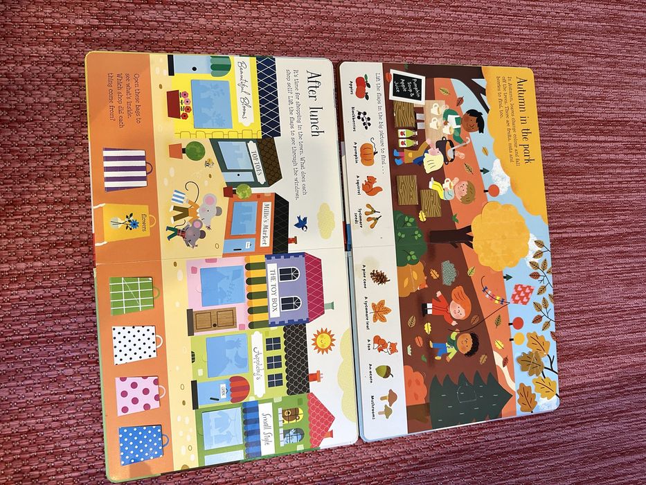 Carti Usborne Lift the Flap