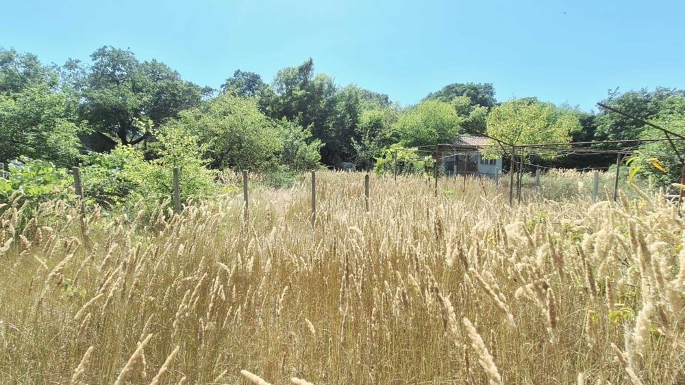 продавам парцел Боровец юг на 1500 метра от спирка Кантара