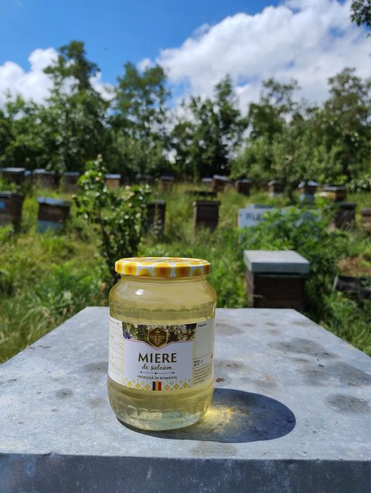 Miere salcam-Brateni,Botosani