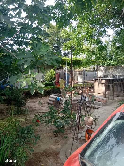 Vila S+P+1+M- Islaz, 8 camere, Suprafata teren 971 mp, Suprafata const