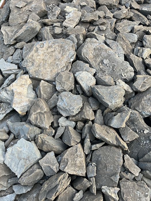 Cărbune lignit pentru centrale termice