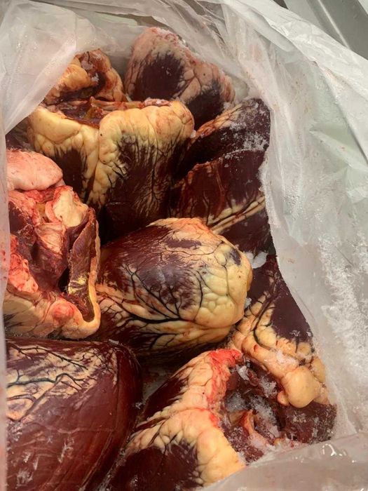 Мясо говядины оптом