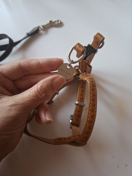 Ham pisică MacLeather