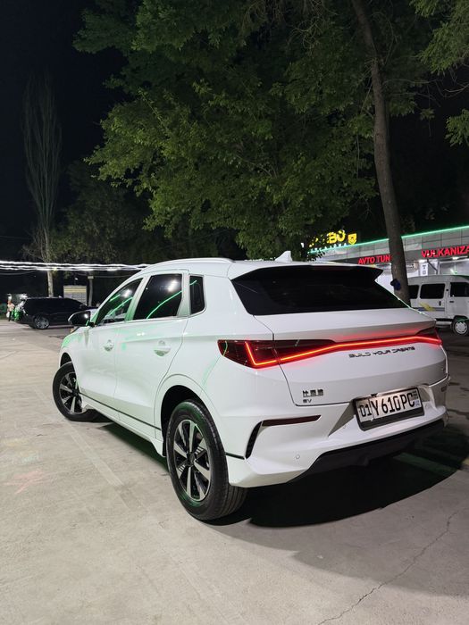 Byd e2 luxury 2024