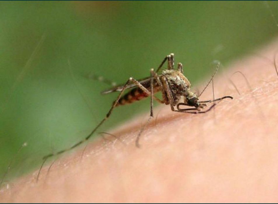 Дезинфекция 24/7