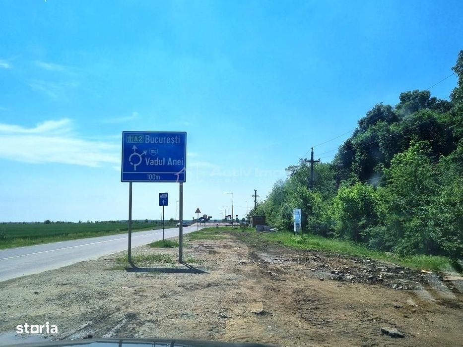 Teren Branesti   Padure