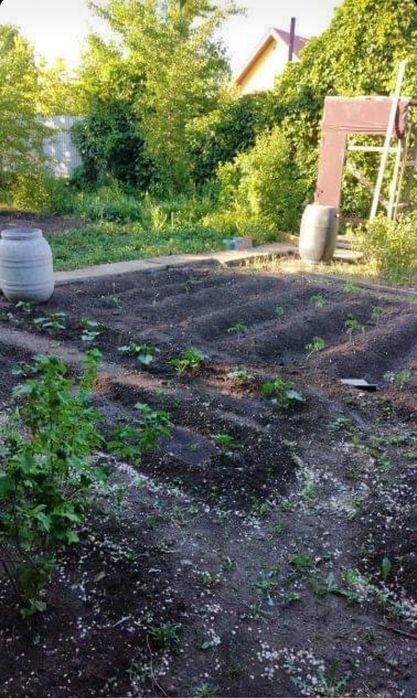 Продам участок вдоль дороги.