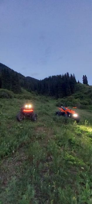 Продам квадроциклов