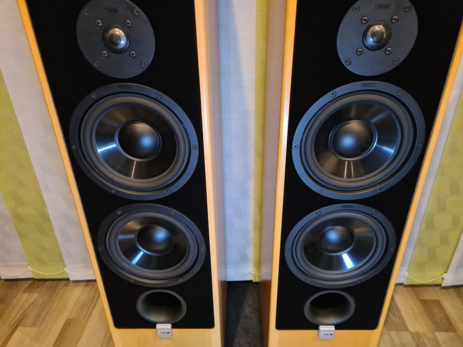 BOXE*CANTON*ERGO 900 DC*High End*Great Sound*Top*Germany*(jbl b&w kef focal infinity monitor audio podea