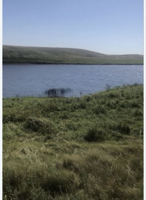 ТОО Сельхоз 5000 га