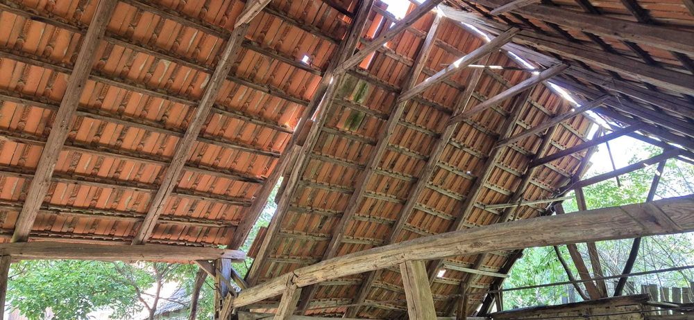 Tigla groasa Muschong elefant facuta la Lugoj