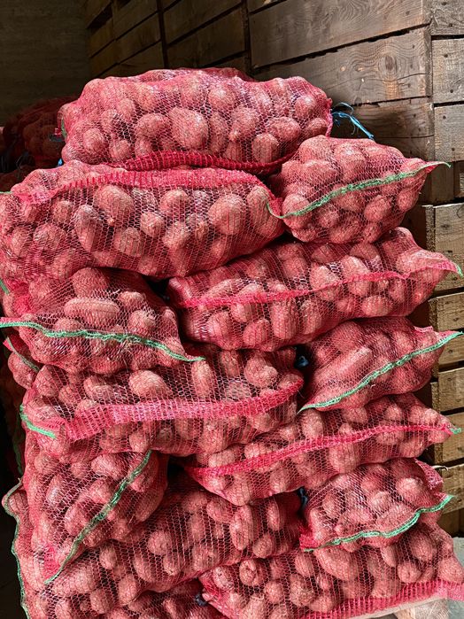 Cartofi de vanzare !