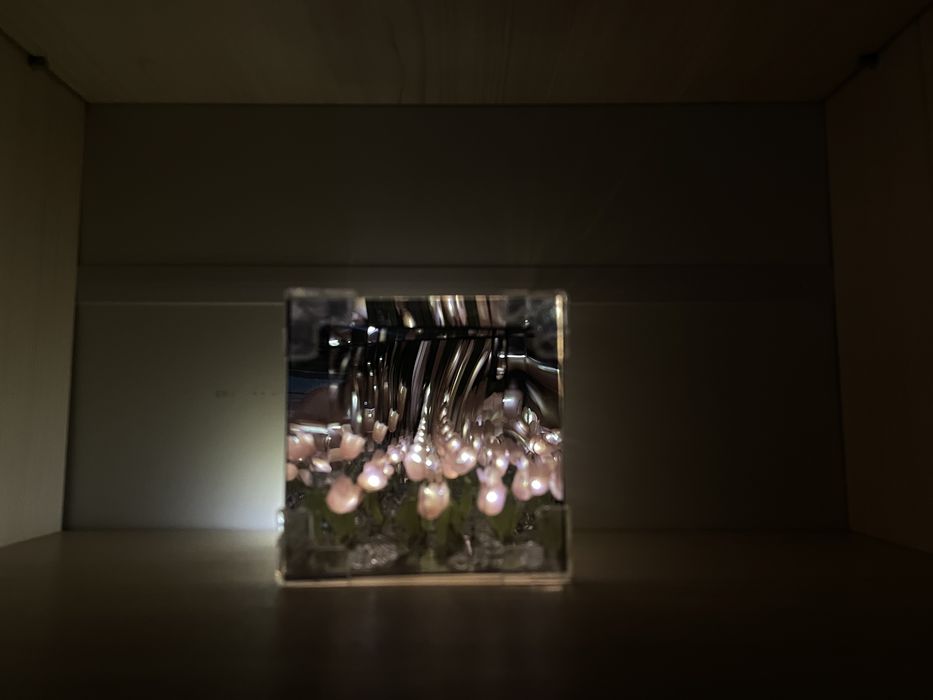 НОЧНИК ТЮЛЬПАН 3D Бесконечные тюльпан