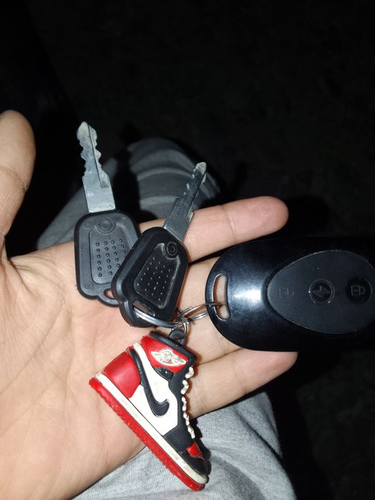 Леопард электровелик