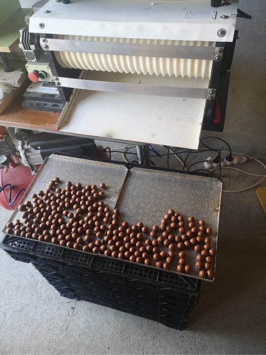 Masina rulat boilies Boilie - Benz si banda cu auto cutter Rolly Carp