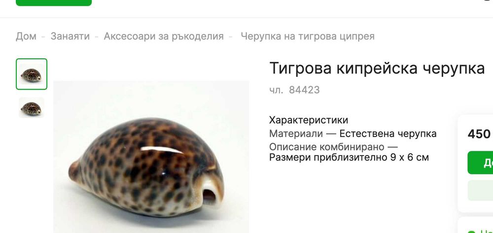 Морска раковина Тигрова Ципрея