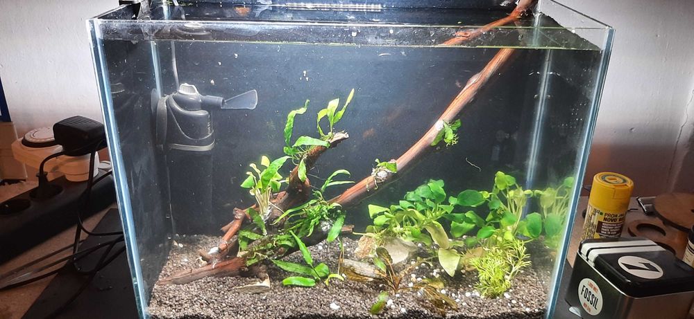 Acvariu  23 l si 112 l