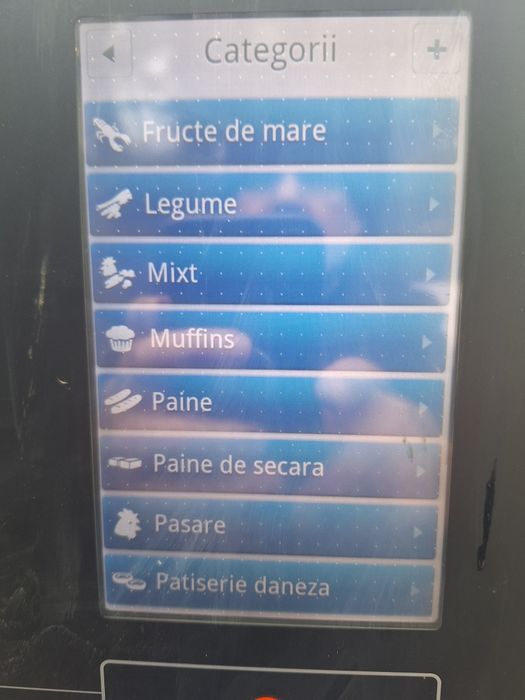 Cuptor gastronomic electric