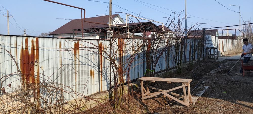 Ежемалина,малина