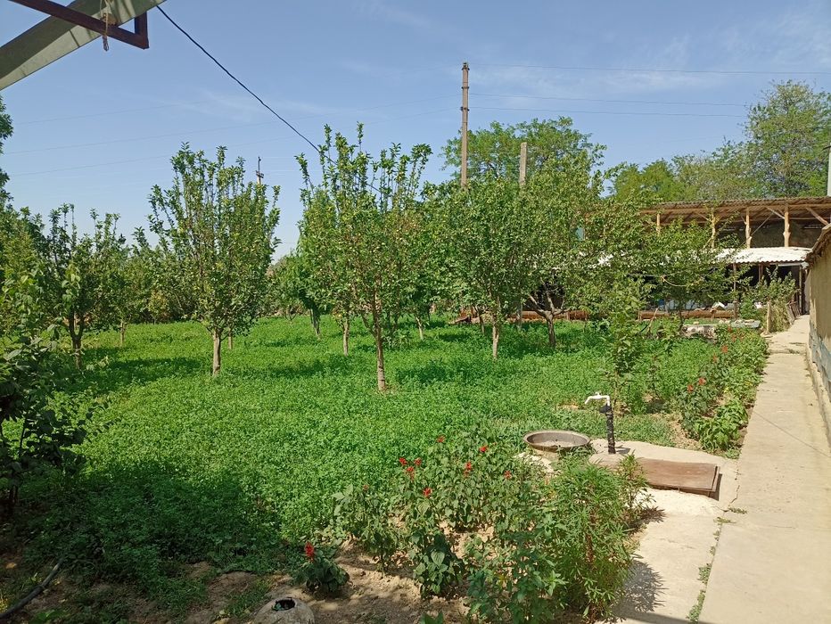 Уй сотидади 10 хонали