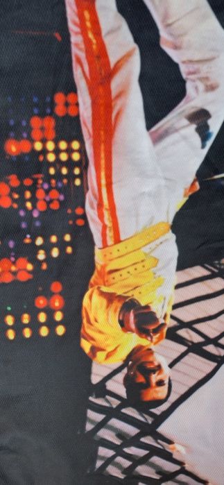 Tricou Freddie Mercury!