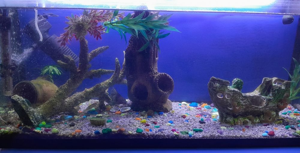 Продаю полностью укомплектованный аквариум