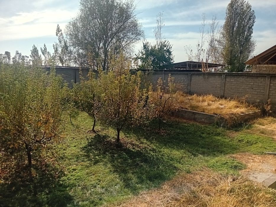 5 hona karobka holatda uchaska