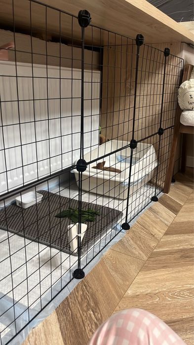 Продам кролика с полным наборам.