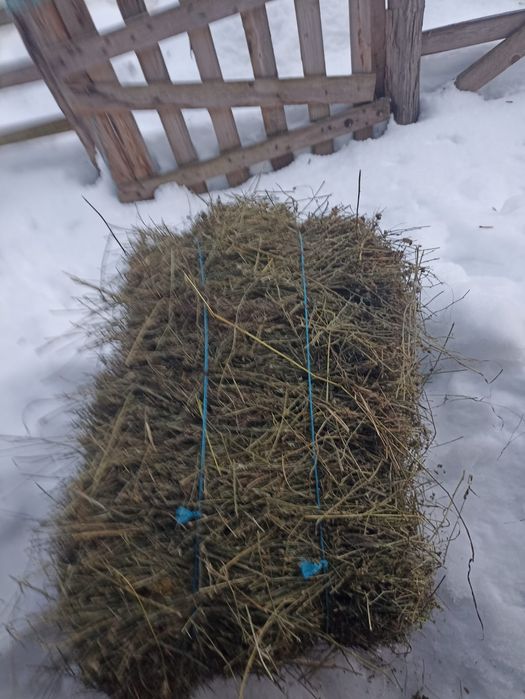 Vând baloți de fan,lucerna,paie de ovaz