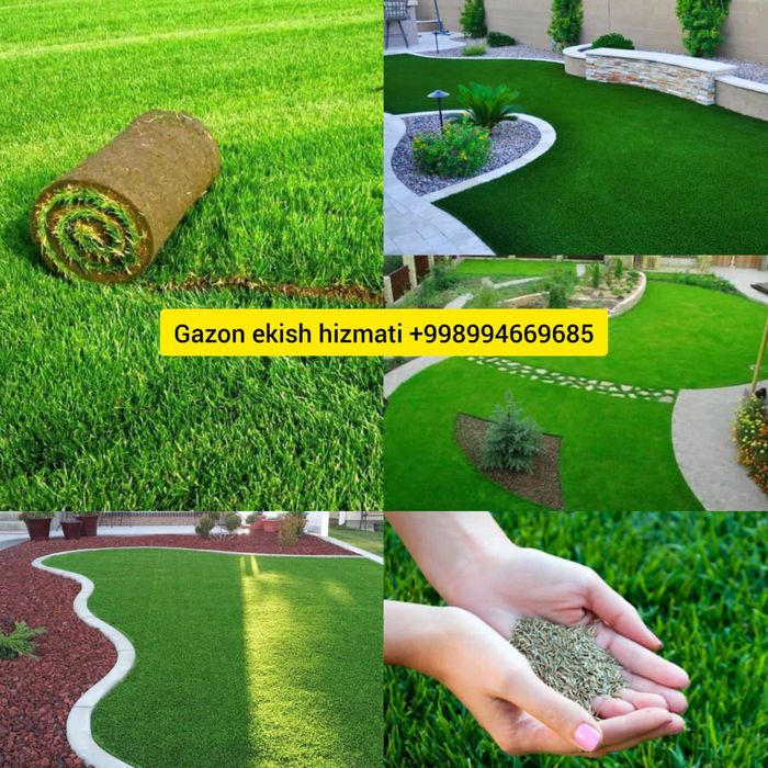 Gazon ekish hizmati
