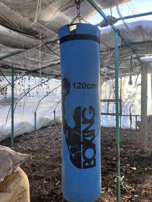 Груша для тренеровок