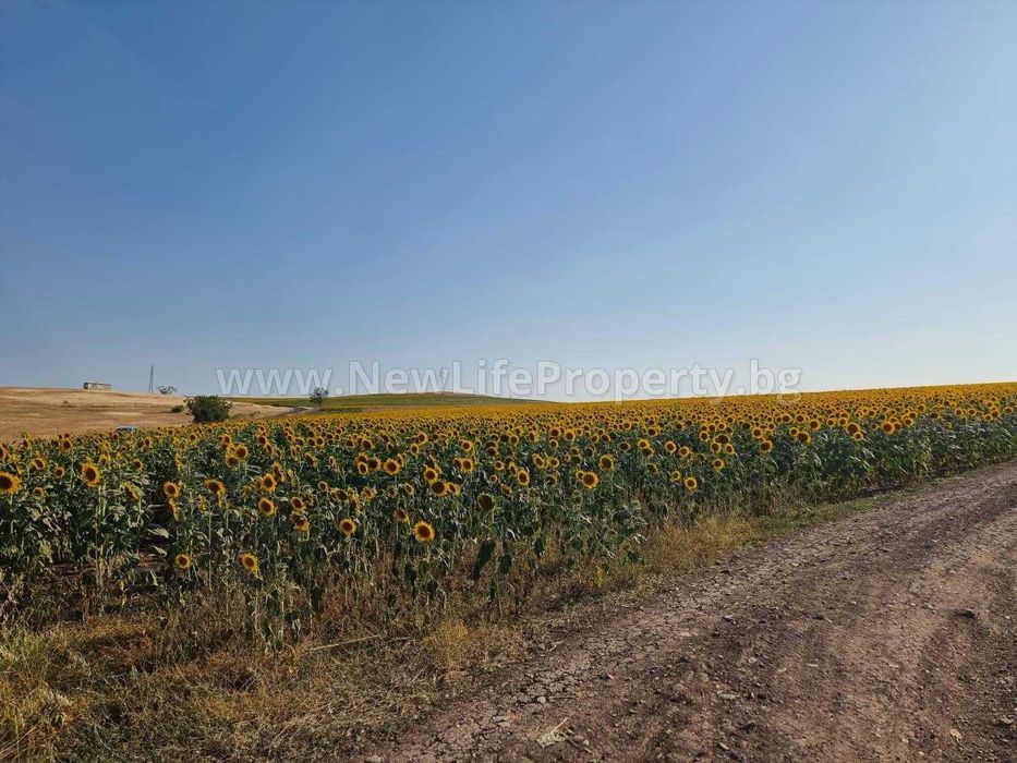 Парцел в регулация, м. Кайряка, с. Тънково, обл. Бургас