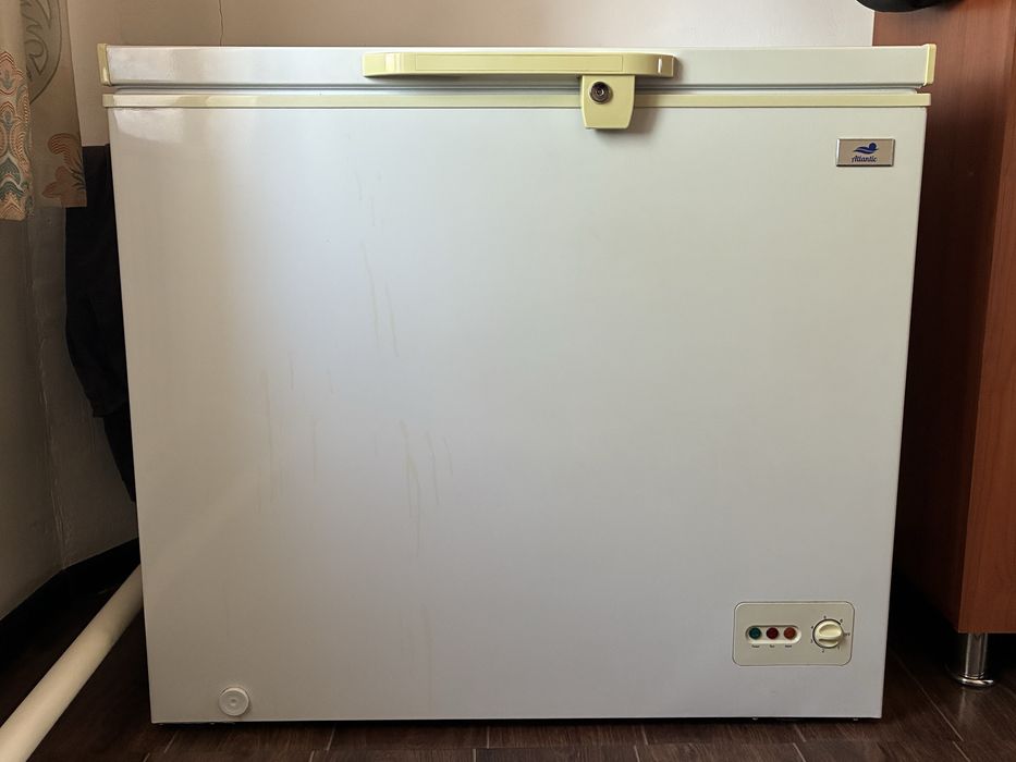 морозелник атлантик