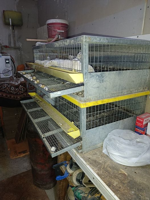 Клетка для перепелок