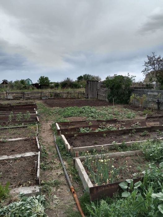 Продам дачу ПоК Оптимист Караганда