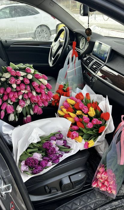 Тюльпаны оптовые предзаказы