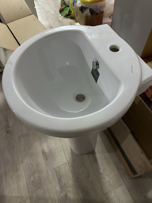 Раковина тюльпан