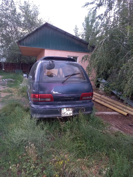 Срочно продам люсида