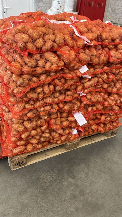 Cartofi animale  074[060]45]98