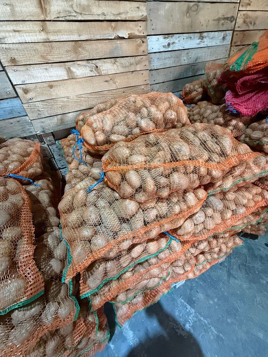 Cartofi de vanzare !