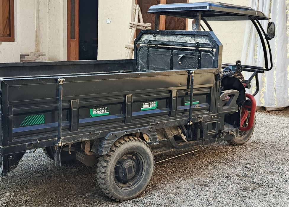 Плектром Муравей,  Elektro Muravey