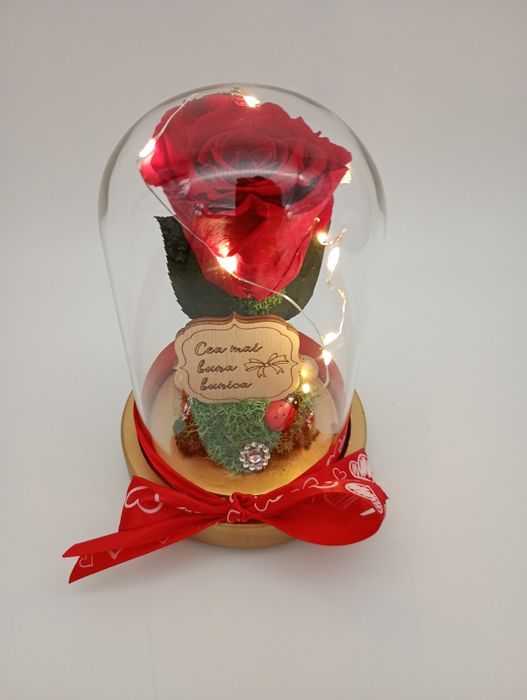 Trandafiri criogenati in cupola de sticla cu leduri cadoul perfect