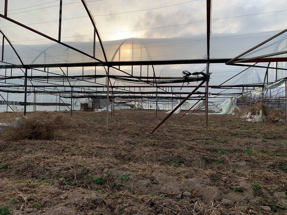 Участок с теплицой